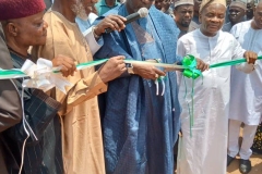 COMMISSIONING THE SONGHAI INTEGRATED  MODEL  FARM 